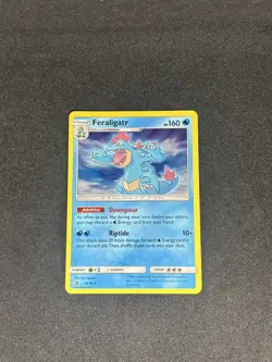 Feraligatr 24/70 - Holo Rare Dragon Majesty Pokemon Card TCG - NM - Image 1