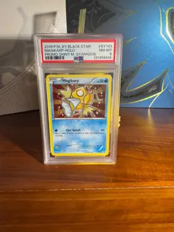 2016 POKEMON XY BLACK STAR PROMO SHINY MEGA GYARADOS #XY143 MAGIKARP-HOLO PSA 8 - Image 1
