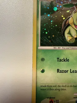 Turtwig #DP01 2007 Pokemon Diamond & Pearl Black Star Promo - Image 4