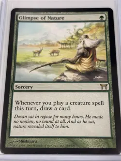 MTG Glimpse of Nature - Champions of Kamigawa #210 Rare - Image 1