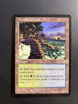 Yavimaya Coast - Apocalypse - MTG - Magic the Gathering NM - Image 1