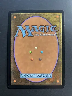 Yavimaya Coast - Apocalypse - MTG - Magic the Gathering NM - Image 2