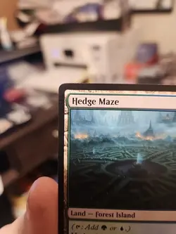 Hedge Maze Murders at Karlov Manor MTG - Image 3