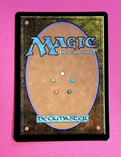 MTG Hedge Maze Foil Borderless, NM-Mint, English Murders at Karlov Manor 🔥 - Image 2