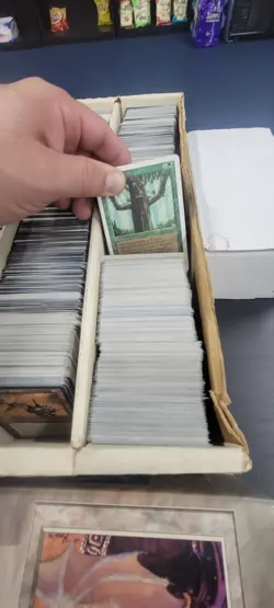 Magic The Gathering LOT Thousands Of Cards Big Box 2 SMALL BOXES AND BINDERS - Image 4