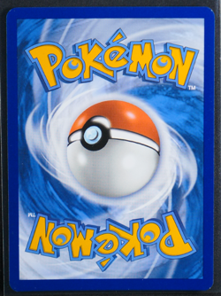 Crocalor - Holo Promo #080 SV: Scarlet & Violet Promo Cards NM - Image 2