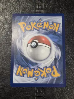 Raging Bolt ex - Promo SV: Scarlet & Violet Promo Cards 145 NM - Image 2