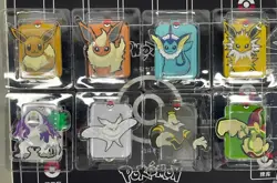Pokemon S-Chinese (Eevee Card Frame Case Gift Box) CSGC Sealed Holo NM - Image 1