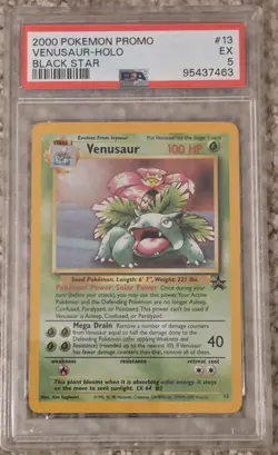 Pokemon 2000 Venusaur Holo Black Star Promo #13 PSA 5 - Image 1