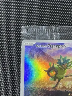 Pokemon Teal Mask Ogerpon 123 Sealed Black Star Promo Twilight Masquerade - Image 2