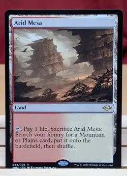 Arid Mesa #244 - Modern Horizons 2 - Regular NM - Image 1