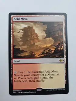 Arid Mesa Modern Horizons 2 Regular - Image 1