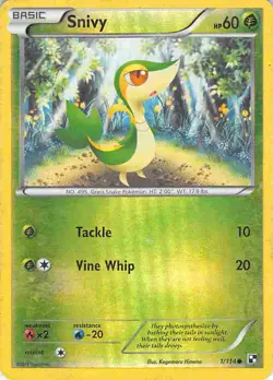 Snivy 1/114 Common Black & White Pokemon MP - Image 1