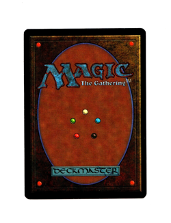 MTG Earthbind NM- Revised 3rd Ed. Magic the Gathering ~ Free Shipping ~ - Image 2