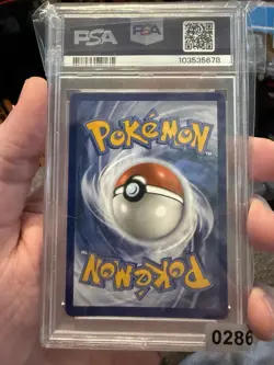 Pokemon Bulbasaur Stellar Crown Illustration Rare #143 PSA 10 Gem Mint - Image 2