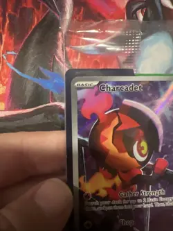 Pokemon TCG Phantasmal Flames ETB Promo - Sealed - Charcadet MEP 022 - Image 3