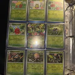 Pokemon Cards Stellar Crown Master Base Set All Near Mint - See Description - Image 2