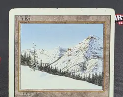 MTG Taiga- DAMAGED - 3rd Edition Magic the Gathering Card # 287 - Image 3