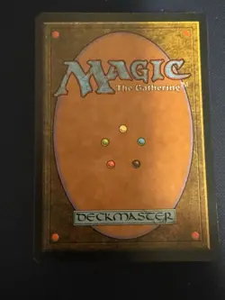 MTG - Magic The Gathering - Land X 100 - Mirage - NP/LN! - Image 2