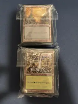 MTG - Magic The Gathering - Land X 100 - Mirage - NP/LN! - Image 3