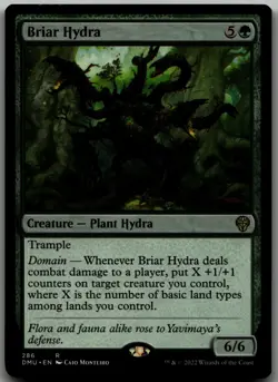 Briar Hydra () R Dominaria United 286 LP - Image 1