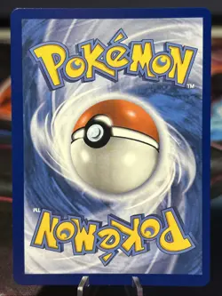 2025 POKEMON MEP EN-ME BLACK STAR PROMO 024 ORICORIO EX MEGA CHARIZARD UPC NM/M - Image 2