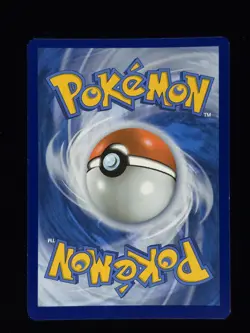 Greninja Star SWSH144 Pokemon SWSH: Sword & Shield Promo Cards 🔥🔥🔥 - Image 2
