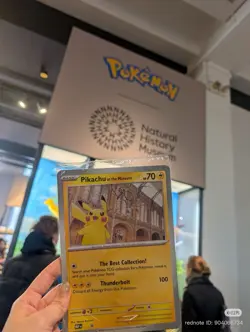 Pokemon Pikachu At The Museum x Natural History London Jumbo Card - Sealed - Image 1