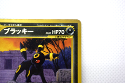 Pokemon TCG Umbreon Neo Premium File 2 Promo lv.33 HP70 No.197 (Japanese) - Image 4