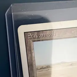 MTG Savanah Revised Edition - Good Condition - Image 4