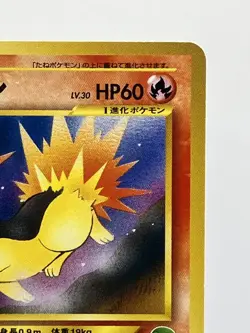Quilava Intro Pack NEO #13 Chikorita Deck Kagemaru Himeno Japanese Pokemon EX! - Image 5