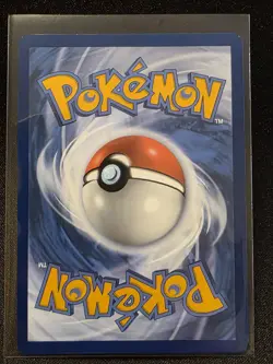 Pokemon Journey Together Black Star Promo Card N's Zorua #189 F/A MINT - Image 2