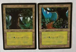 MTG 2X CHINESE BLACK BORDERED FOREST NM FBB MAGIC THE GATHERING BASIC LAND - Image 1