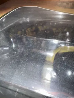 Pokemon - Hidden Fates Ultra Ball Collection - Metagross GX - Sealed - Image 2