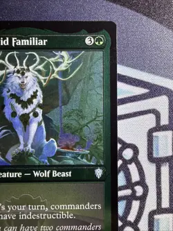 Anara, Wolvid Familiar (Foil Etched) Commander Legends Foil #577 - Image 4