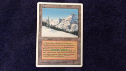 TAIGA Dual Land 1994 Revised FWB German MTG Unplayed NM - Image 2