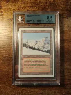 Magic The Gathering Bgs Graded Revised Edition Taiga Dual Land - Image 1