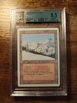 Magic The Gathering Bgs Graded Revised Edition Taiga Dual Land - Image 2