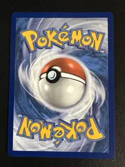 Lileep 145/142 Pokemon Stellar Crown Illustration Rare Full Art Holo NM - Image 2
