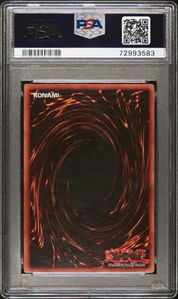 B. Skull Dragon MRD-018 Metal Raiders Unlimited - Image 2