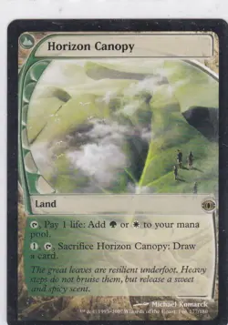 Magic the Gathering - 1 x Horizon Canopy (FUT) - Image 1