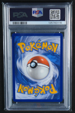 Shuckle Illustration Rare 136/132 Mega Evolution PSA 10 Gem Mint 2025 - Image 2
