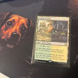 Mtg Temple Garden - Lorwyn Eclipsed + Bonus Foils - Image 1