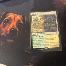 Mtg Temple Garden - Lorwyn Eclipsed + Bonus Foils - Image 2
