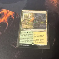Mtg Temple Garden - Lorwyn Eclipsed + Bonus Foils - Image 3