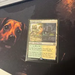 Mtg Temple Garden - Lorwyn Eclipsed + Bonus Foils - Image 5