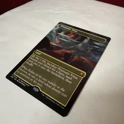 X1 non foil borderless Prismatic Vista from SPG - Image 1