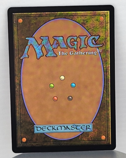 Hexing Squelcher - Lorwyn Eclipsed (ECL) - Image 2