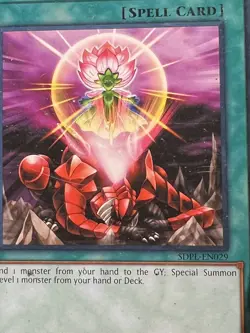 Yugioh! LP One for One - SDPL-EN029 - Common - 1st Edition Lightly Played, Engli - Image 2