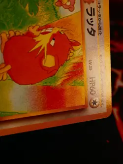 LP/NM JAPANESE Pokemon RATICATE Card RAINBOW ISLAND #020 Southern Islands Promo - Image 3